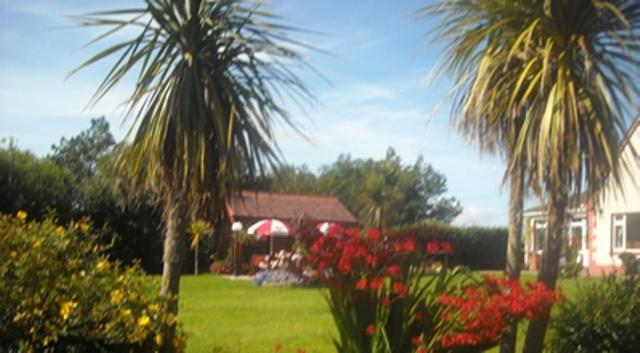 Atlantic Haven Bed & Breakfast Sligo Exteriör bild