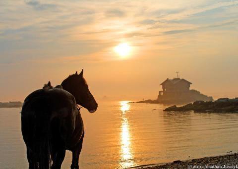 Atlantic Haven Bed & Breakfast Sligo Exteriör bild